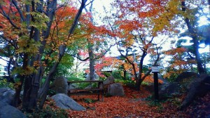 紅葉の庭