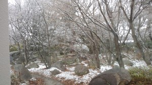雪